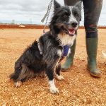 Mila_IMG_20251115_123251