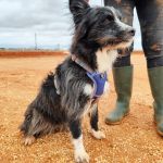 Mila_IMG_20251115_123256