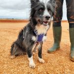 Mila_IMG_20251115_123300