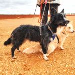 Mila_IMG_20251115_1233222