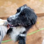 Mila_IMG_20251116_091203