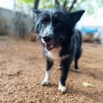 Mila_IMG_20251116_103019