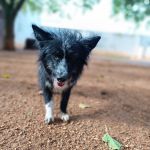 Mila_IMG_20251116_103025