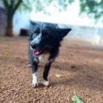 Mila_IMG_20251116_103026