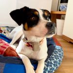 Milagros_2026-03-29 at 10-49-37