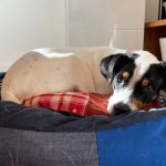 Milagros_2026-03-29 at 10-49-38