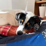 Milagros_2026-03-29 at 10-49-39