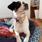 Milagros_2026-03-29 at 10-49-40