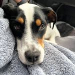 Milagros_2026-03-29 at 10-49-41