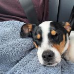 Milagros_2026-03-29 at 10-49-42