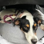 Milagros_2026-03-29 at 10-49-45