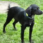 Minzi_IMG-20250609-WA0042
