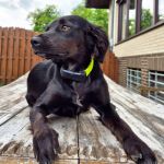 Minzi_IMG-20250609-WA0045