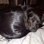 Minzi_IMG-20250610-WA0024
