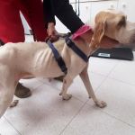 Mirlo_img-20251108-wa0012