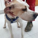 Mirlo_img-20251108-wa0014