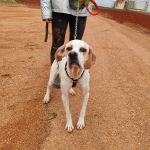 Mirlo_IMG_20251115_124644