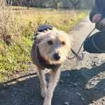 Misty_2025-11-19-14-32-36