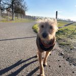 Misty_2025-11-19-14-32-37