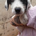 Mocca_IMG_20260628_134339