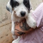 Mocca_IMG_20260628_134405