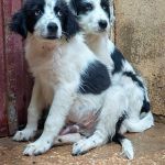Mocca_IMG_20260628_134502