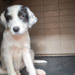 Mocca_IMG_20260628_135750