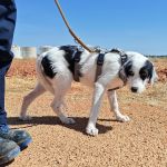 Mocca_IMG_20260802_115839