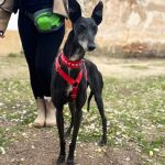 Muneca_2025-11-15 at 11-39