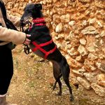 Muneca_2025-11-15 at 11-49-27