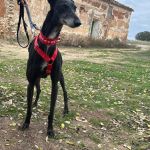 Muneca_2025-11-15 at 11-5039