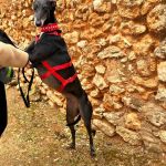 Muneca_2025-11-15 at 1149-28