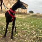 Muneca_2025-11-15 at 150-39