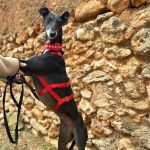 Muneca_2025-11-15t 11-49-54