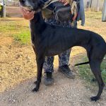 Muneca_IMG_0454