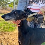 Muneca_IMG_0456