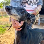 Muneca_IMG_0457