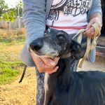 Muneca_IMG_0458