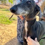 Muneca_IMG_0459