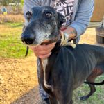 Muneca_IMG_0460