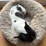 Nela_2025-12-15-18-59-27