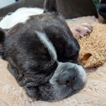 Nela_2025-12-17-20-36-11