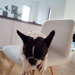 Nela_2025-12-18-14-13-18