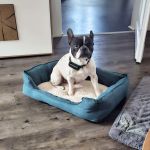 Nela_a044f52a-8bf1-4046-8d55-2b2e85b6947f