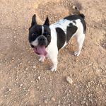 Nela_IMG_0134