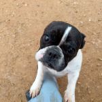 Nela_IMG_20251115_104405