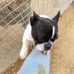 Nela_IMG_20251115_104650