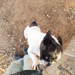 Nela_IMG_20251116_170042