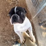 Nela_IMG_20251116_170044