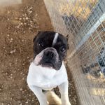 Nela_IMG_20251116_170046